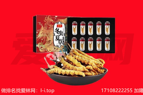 昆明富民县回收虫草.jpg